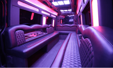 Federal Way 14 Passenger Sprinter Bus Interior